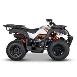 KAYO AU150 CVT